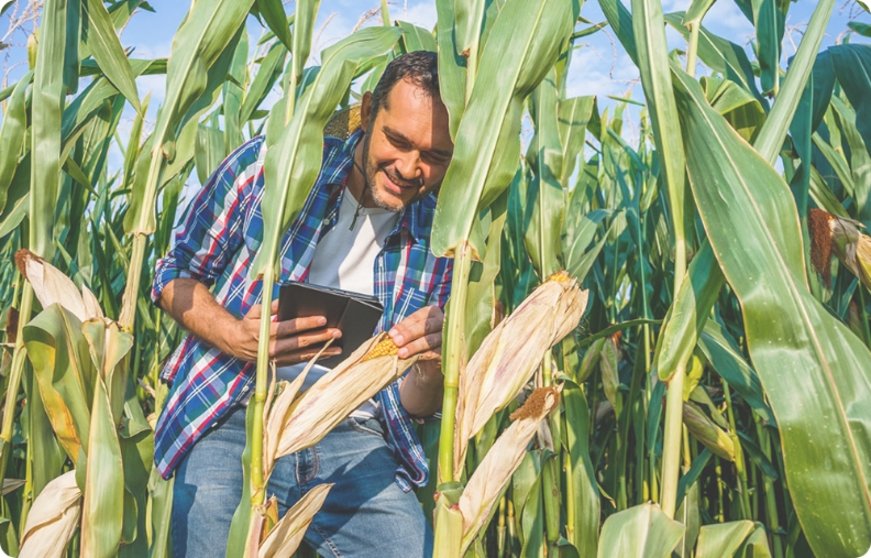 Farmer_Tablet-skyfld